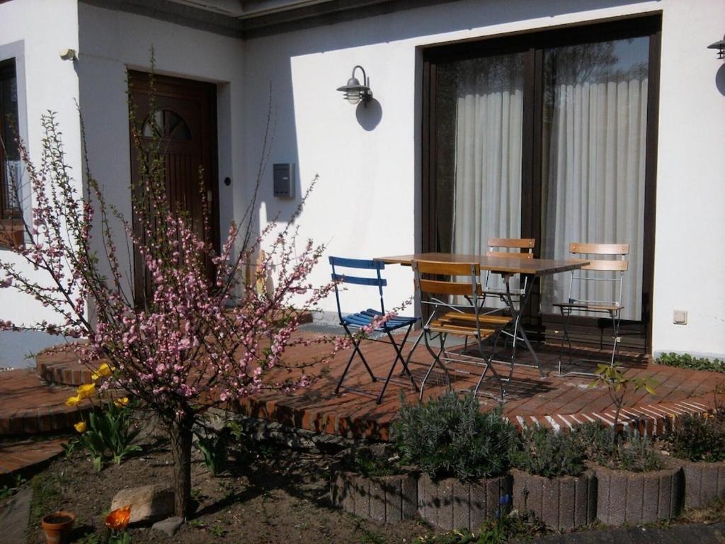 Ferienwohnung Hanns كيل المظهر الخارجي الصورة